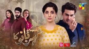 مسلسل باكستاني قصة مهربانو مترجم الحلقة 19